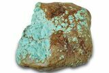 Tumbled Turquoise Specimen - Number Mine, Carlin, NV #260506-1